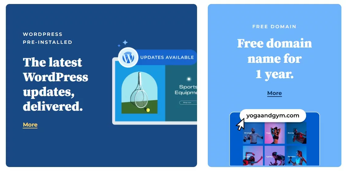 Bluehost 